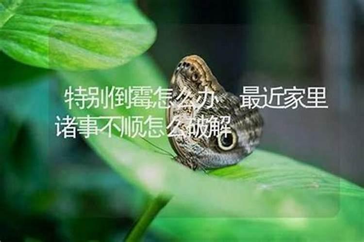 关于己堕胎的妈妈,应该如何做功德回向给无缘的孩子..