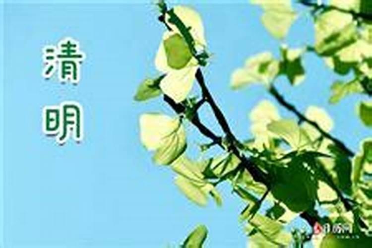 清明后面的节气是什么？