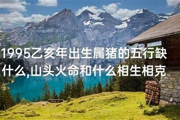 1995年山头火命猪终身运势 山头火命南柯一梦的宿命？