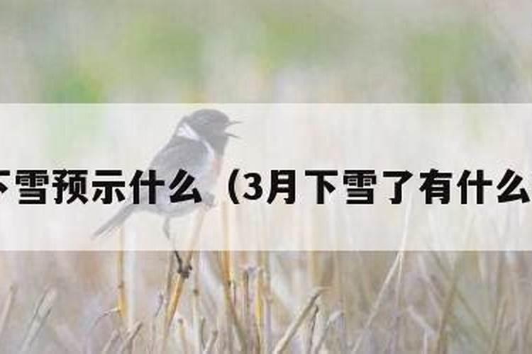 长沙市有什么道观或寺庙准予游客在内居住几天,用以清修,静心的地方...