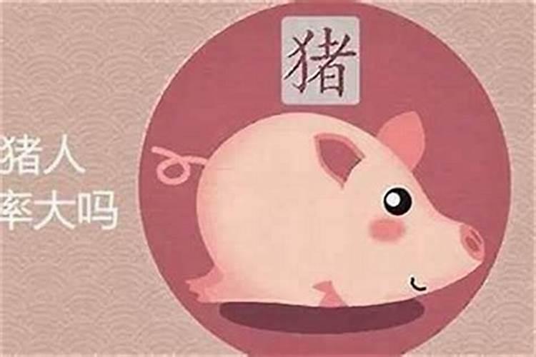 71猪女哪年是灾难