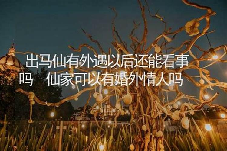 牛在2025年的每月运势如何呢