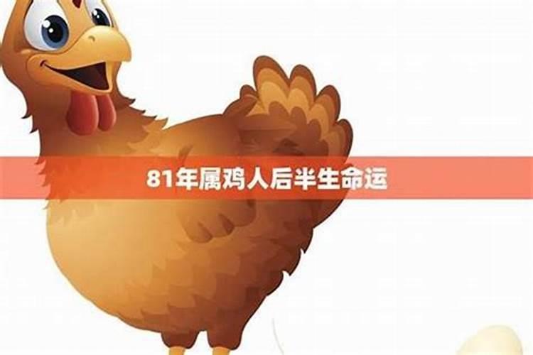 属鸡1981年11月13日早上5:00~7:00命运