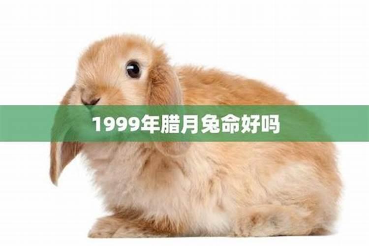 1990年农历的腊月十七日亥时,五行缺什么？如题 谢谢了