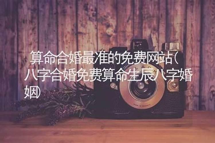 94年属狗人每月运势