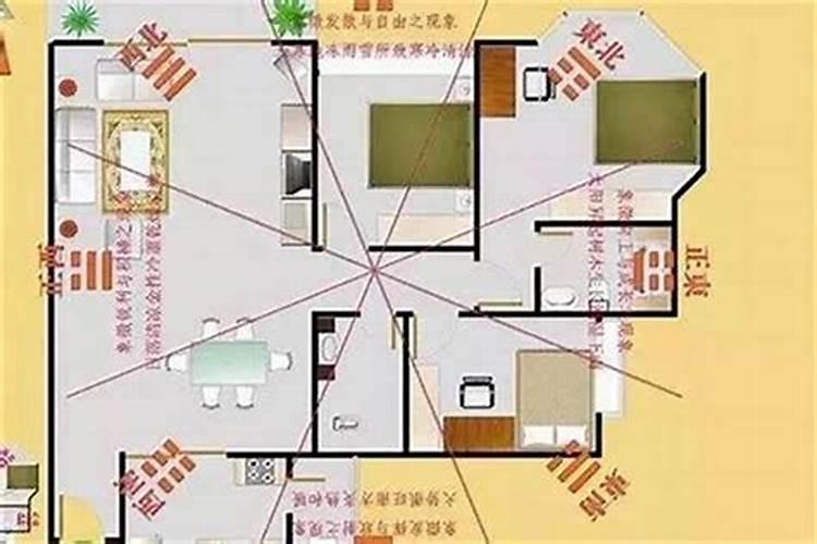 十二生肖夫妻配对表