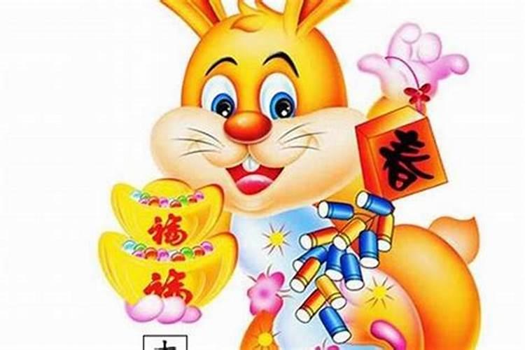 属兔什么招财最旺