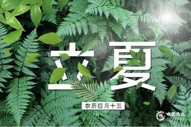 生肖鸡2025年运势 属鸡2025年运势及运程