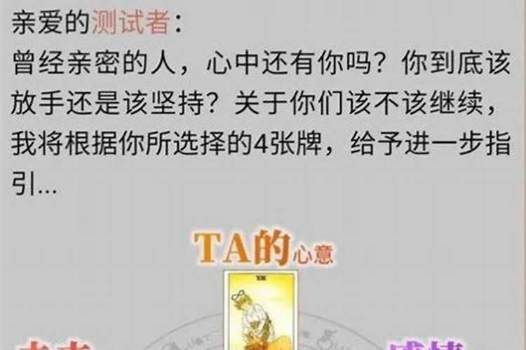 84年鼠何时走大运 84年鼠2024年整体运势