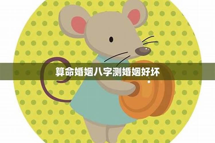 八字哪里看婚姻状况 生辰八字查前世姻缘？