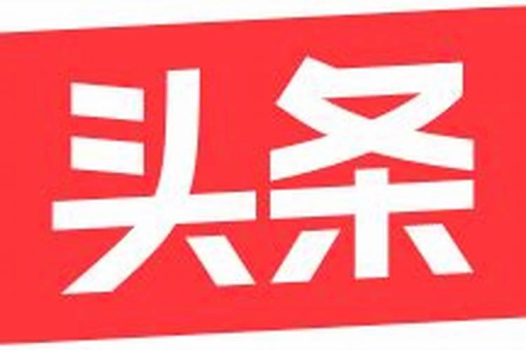 什么花最好看