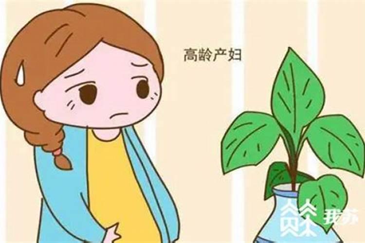 流产不舍得又不能要的说说