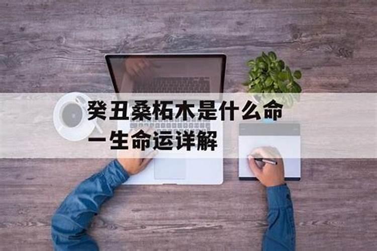 属牛1949出生2025年几岁了