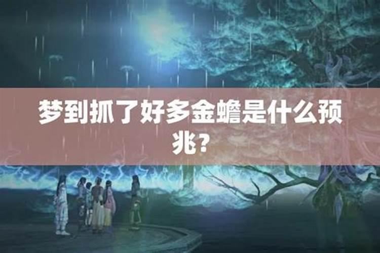 梦见蟾蜍是什么意思