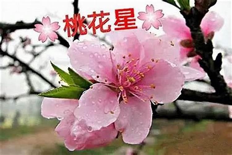 2025哪个犯太岁最严重