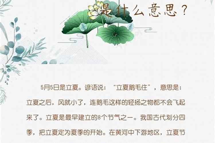 阴历1995年9月12号是什么星座
