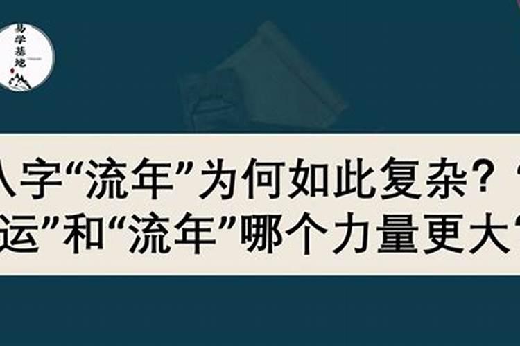 被抚养人生活费司法解释