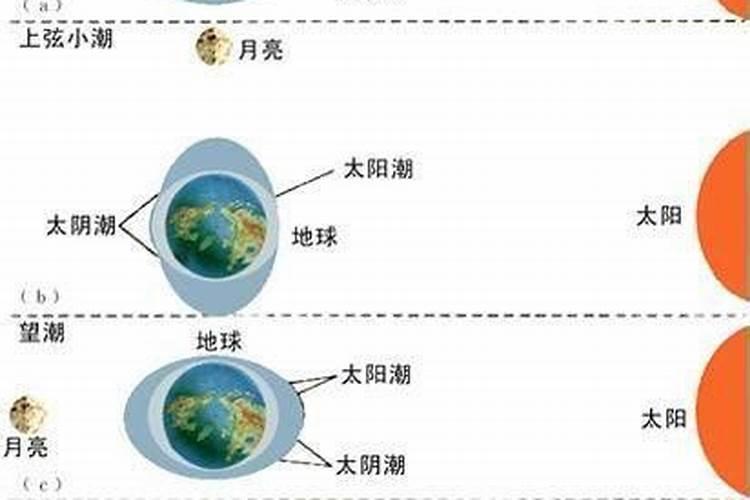 几点潮水最低