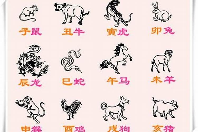 95年生肖猪的命运如何 一生的贵人是谁？