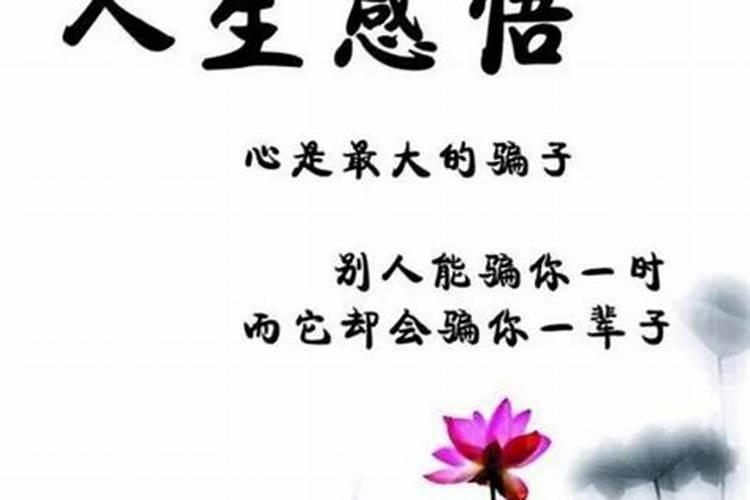 1959年属猪未来三年2024到2026运势好吗