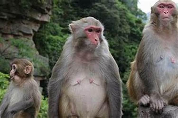 男人八月十五,和女四月初二出生的婚姻幸福吗？