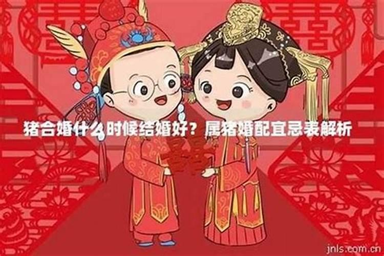 属牛和属狗合财吗