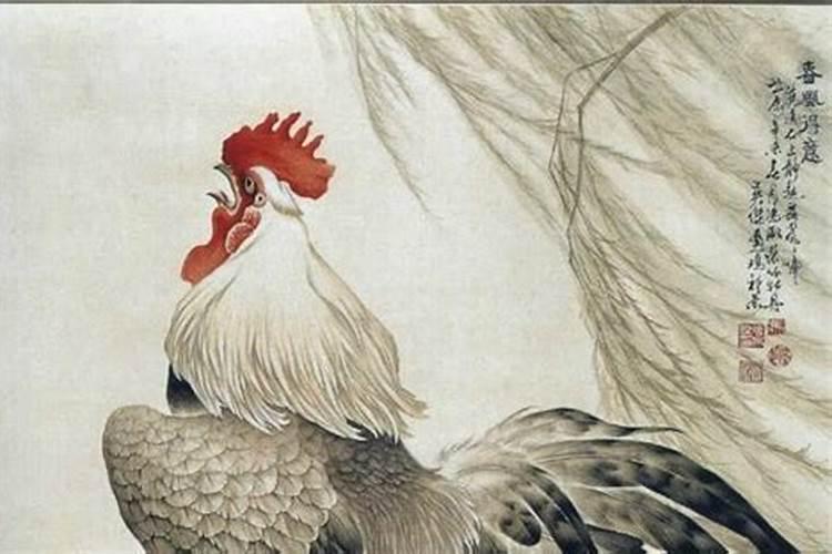属鸡,26岁,三月十五出生,今年明年运势如何？