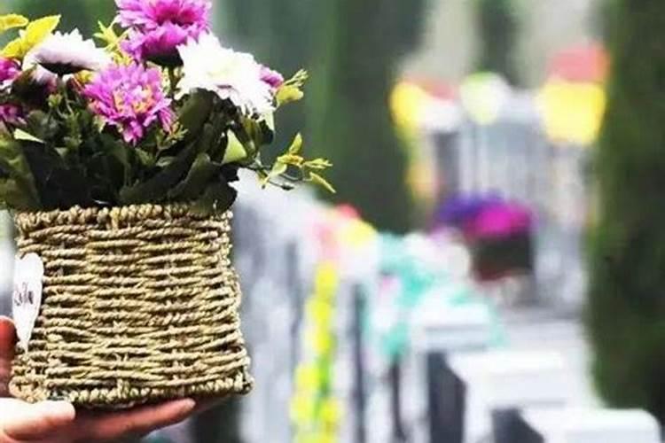 广州重阳节祭拜预约流程广州重阳节祭拜预约流程视频