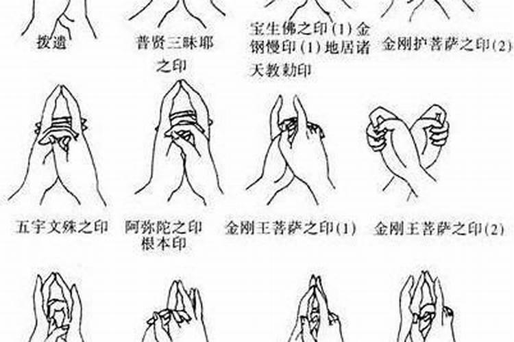 我是农历91年12月初8生日是什么星座