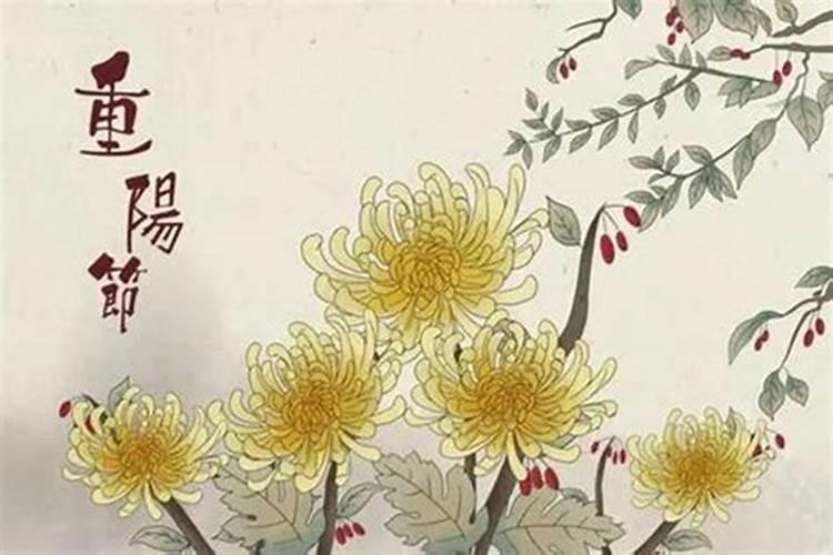 晓字在名字的含义？