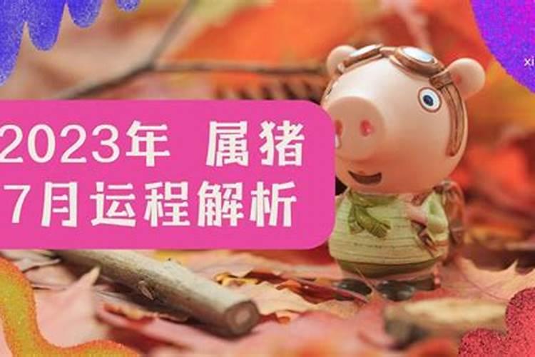 2025年马拉松赛事时间表