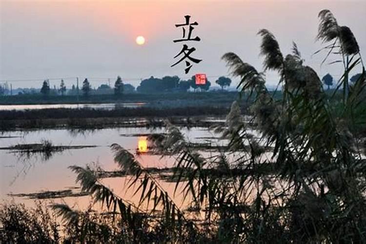 乙未遇辛丑流年运势分析,乙未日柱女命贵不起来