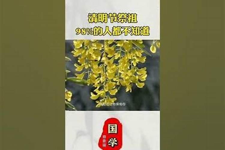 2000年属龙人婚配表