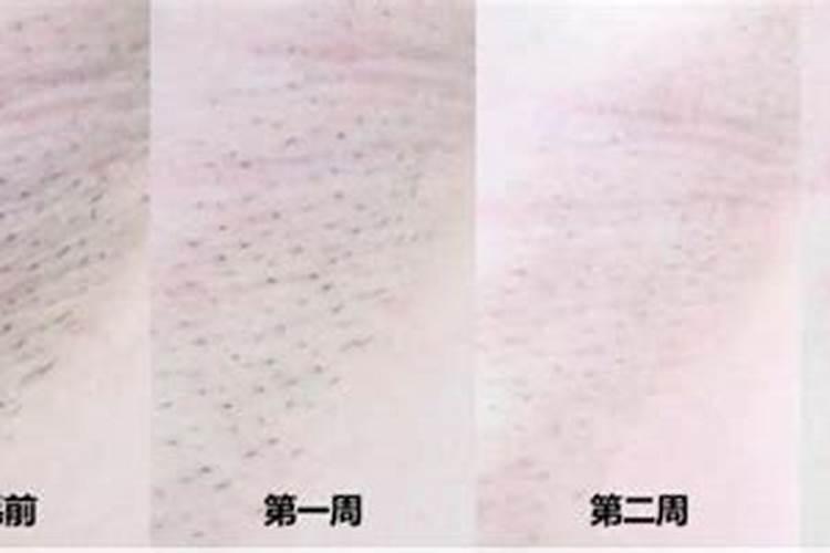 重阳节是为了纪念谁
