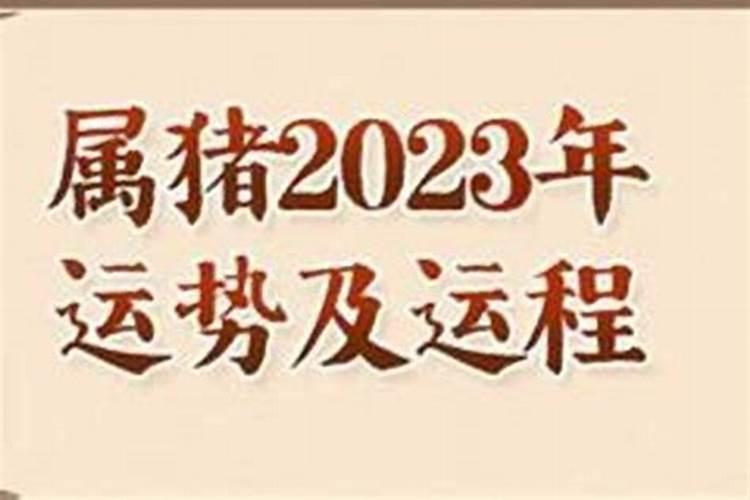 生肖虎1974年2025年运势如何 生肖虎1974年2025年全年运势