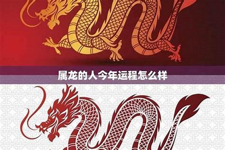 明年哪些属相犯太岁2025