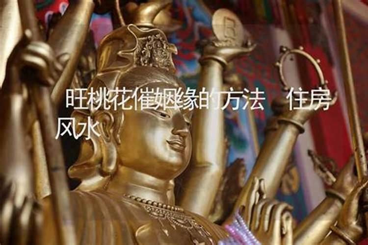 属猴2025年犯太岁吗