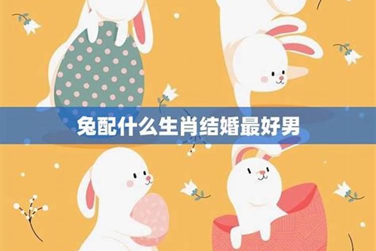 1999年兔女配什么婚姻好,99年兔和什么生肖最配