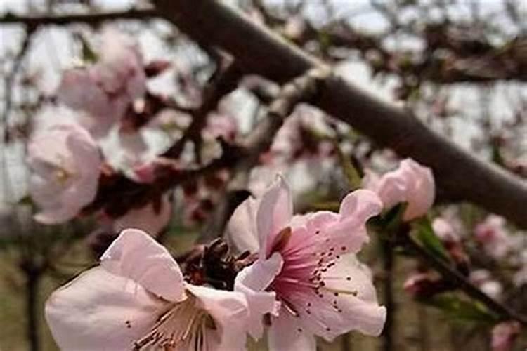挡小三、旺爱情必请神器