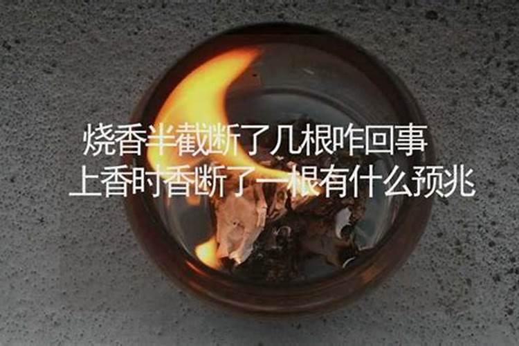 什么样八字的人财运好