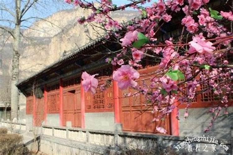 清明节适合去哪儿玩