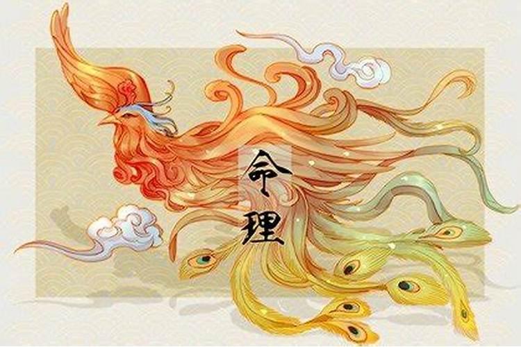 己未日主详解
