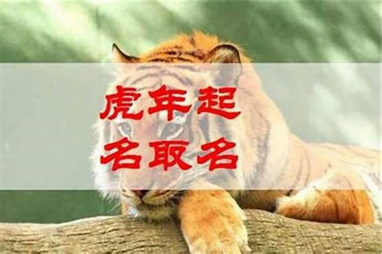 杨清华生肖一周运势1.251.31