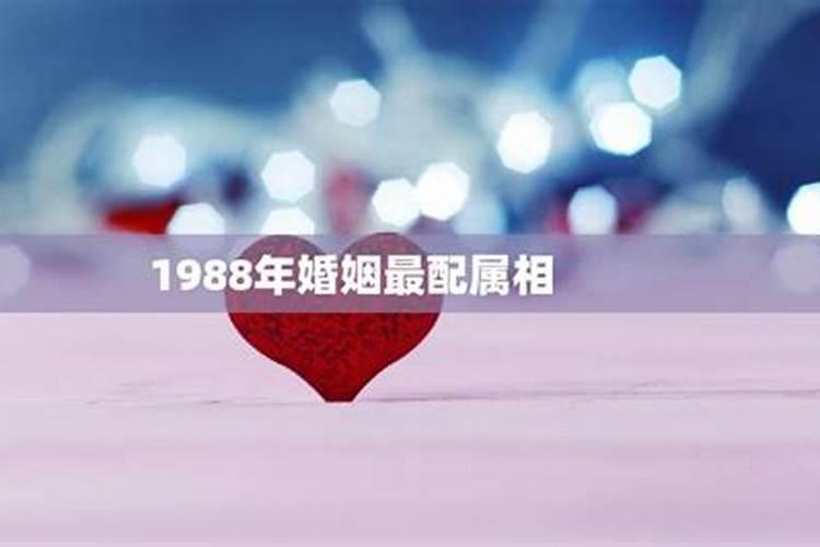 1988属龙2025年的运势及运程
