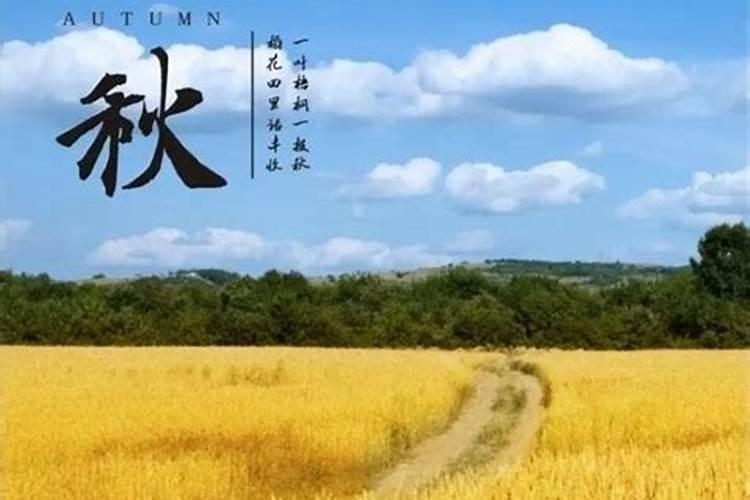 立秋养生三要点!阳光下健走、多喝温开水……