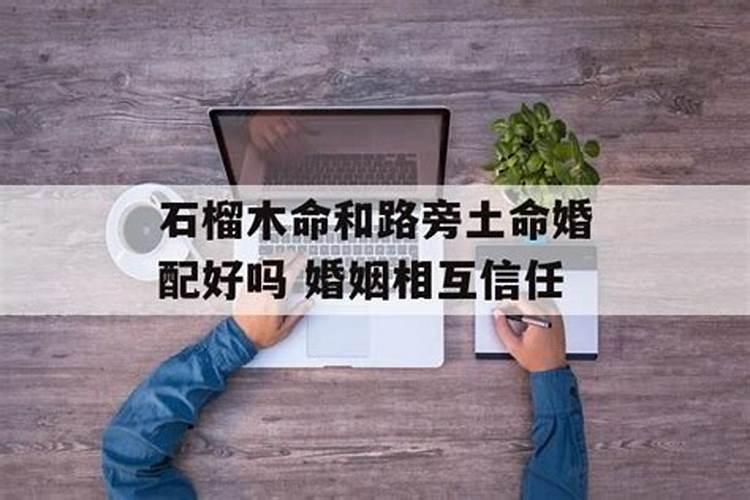 属猪2025年犯太岁怎么化解