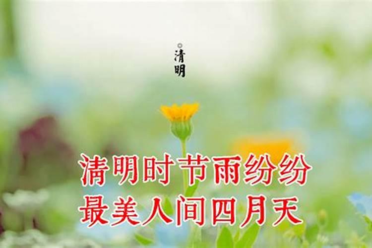 清明节古诗::万物清明,雨纷纷,念故人