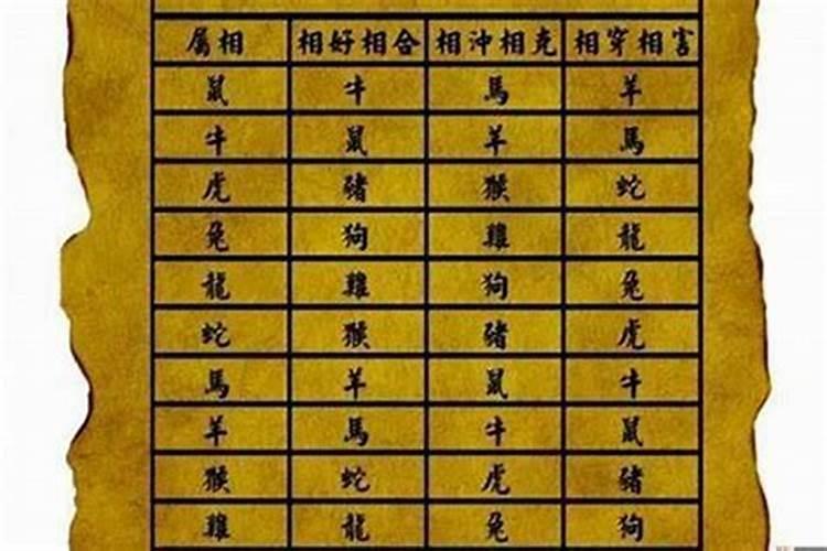 1999属兔男最佳配偶属相