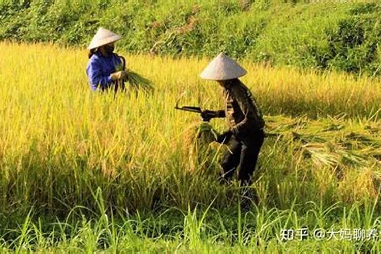 中元节和中秋节有区别吗？ 是什么？