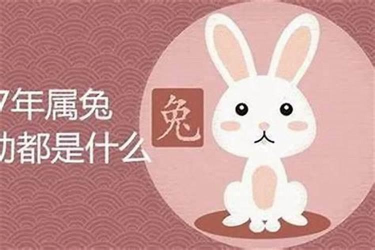 明年什么属相犯太岁2025